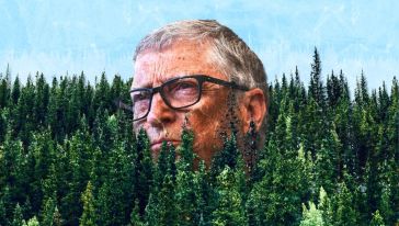 Microsoft'un kurucusu Bill Gates 'ağaç dikmenin' yararlı olmadığını iddia etti!