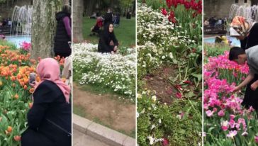 Gülhane Parkı'nda fotoğraf çekmek çiçeklerin ezildiği görüntüler büyük tepkiye neden oldu!