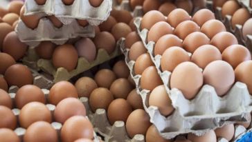 Rekabet Kurumu, yumurta sektörüne yönelik 2 ayrı soruşturma başlattı