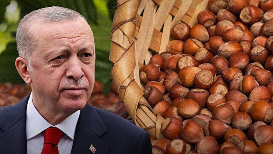 Merakla bekleniyordu! Cumhurbaşkanı Erdoğan fındık alım fiyatını açıkladı...