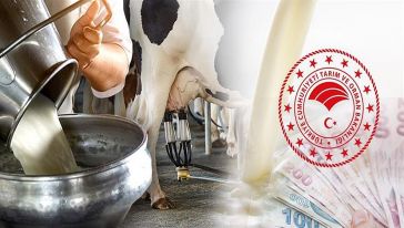 Üreticilerin isyanı ses getirdi: "Çiğ süt destek primi artırıldı..!"