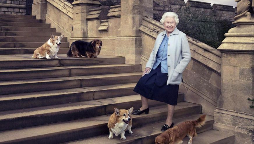 Kraliçe II. Elizabeth'in hayvanlarına ne olacak?