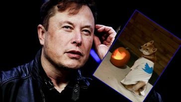 Elon Musk Twitter'ı satın aldı 'DOGE' yeniden uçuşa geçti!