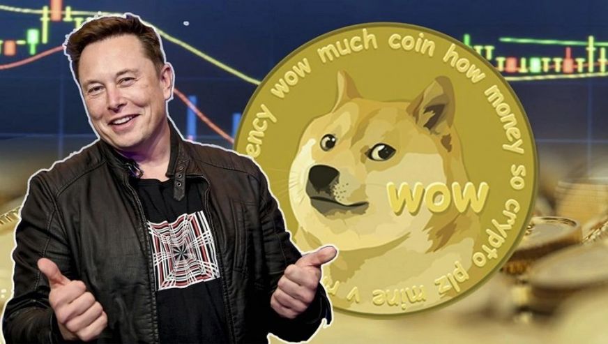 Elon Musk Twitter'ın logosunu değiştirdi! Doge Coin yüzde 25 değer kazandı!