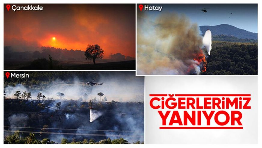Alevlerle mücadele sürüyor... Türk Silahlı Kuvvetleri devrede... Hatay'daki yangınla ilgili 2 kişi tutuklandı...