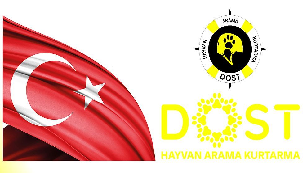 Türkiye’nin ilk hayvan arama kurtarma derneği DOST kuruldu…