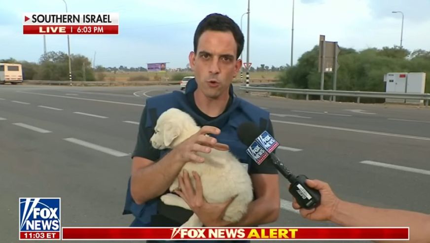 Amerikan FOX News katledilen bebekler yerine, köpekleri haber yaptı: 'Bombalardan korkuyor...'