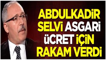 Hükümete yakın isim Abdülkadir Selvi 'asgari ücret zammı' için rakam verdi!