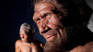 Temel göstergeleri açıklandı... Neandertal DNA'sı taşıyor olabileceğinizin 6 işareti!