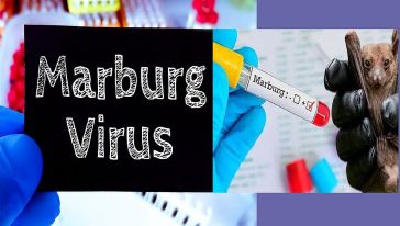 Dünyanın en ölümcül virüsü yayılıyor ve tedavisi ise yok..!