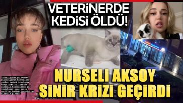 Fenomen Nurseli Aksoy kedisi ölünce veterineri basıp olay çıkardı..!