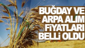 Bakan Yumaklı '15 TL olsun' çağrısını yüksek buldu! Buğday ve arpa alım fiyatları açıklandı...