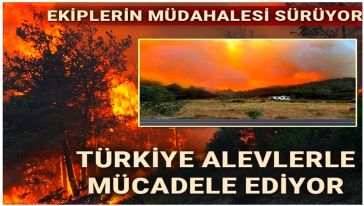 Türkiye alevlerle mücadele ediyor... 3 ilde orman yangını, ekiplerin müdahalesi sürüyor!