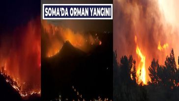 Soma'da orman yangını! 2 mahalle tahliye edildi...
