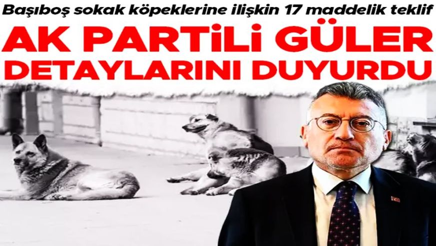 Sokak köpeklerine ilişkin teklif TBMM Başkanlığı'na sunuldu...