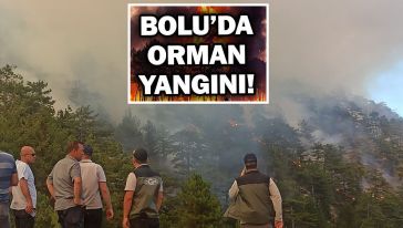 Bolu'daki orman yangınıyla ilgili 2 tutuklama...