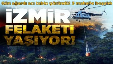 Ciğerlerimiz yanıyor... Tam 73 yangın! İzmir'de yürek yakan görüntüler...