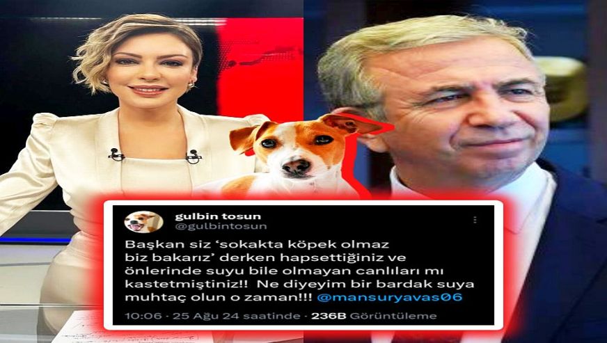 ABB Başkanı Mansur Yavaş’ı eleştirmişti... Now Tv Gülbin Tosun’u ‘zorunlu izne’ çıkardı..!