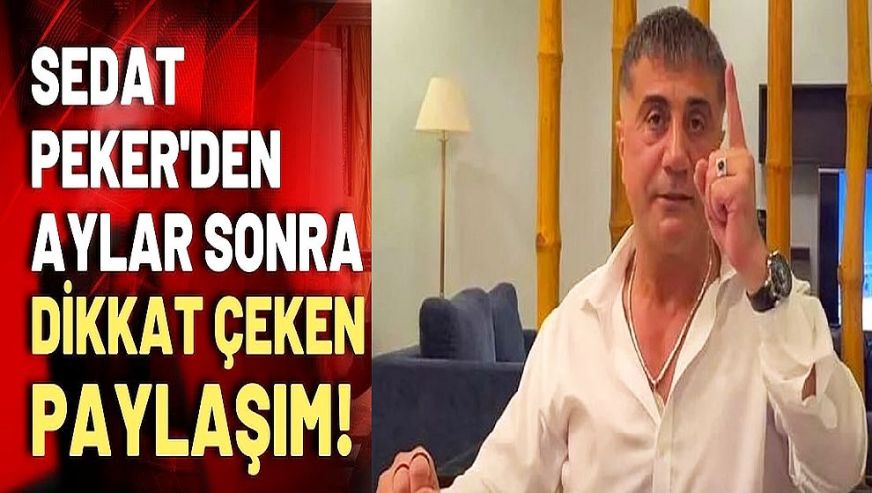 Sedat Peker'den aylar sonra yeni paylaşım! 'Tacizci, tecavüzcü köpeklere uygulanması gereken tek tarife,..'