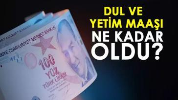 Dul ve yetim aylıkları ne oldu?