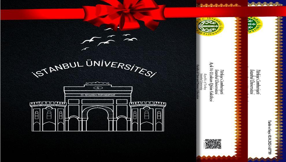 Kıtalararası gururdan kırılan itibara: 'İstanbul Üniversitesi ve Eğitim Sistemimizin Çöküşü...'