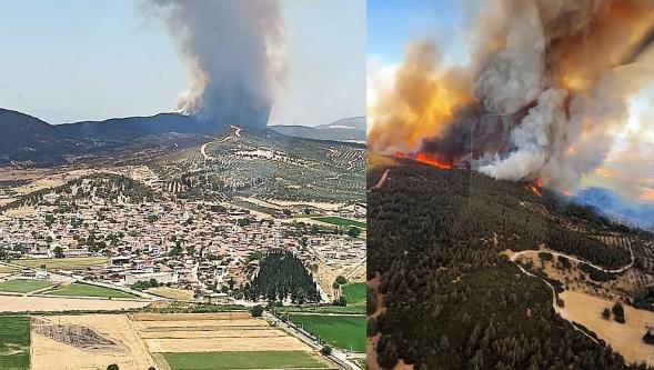 İzmir Foça'da orman yangını! 11 uçak 13 helikopter ile müdahale ediliyor...