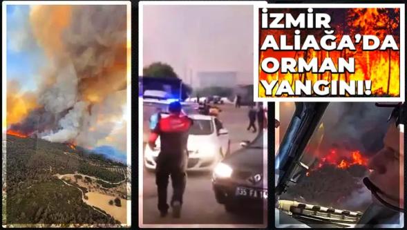 Rüzgar yangını büyüttü! Aliağa'daki yangın Foça'ya sıçradı... Evler tahliye edildi!