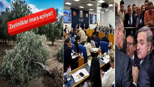 Tartışmalı 'zeytinlik' maddesi komisyonda kabul edildi...
