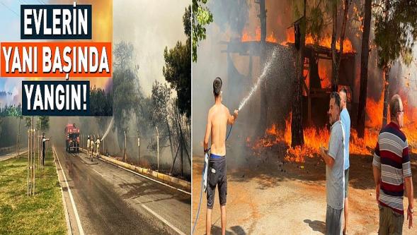 Bu kez Antalya'da üç noktada orman yangını çıktı! Karabük'te 14 köy tahliye edildi...