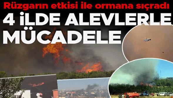 Ciğerlerimiz yanıyor! Alevler yerleşim yerlerine ilerliyor...
