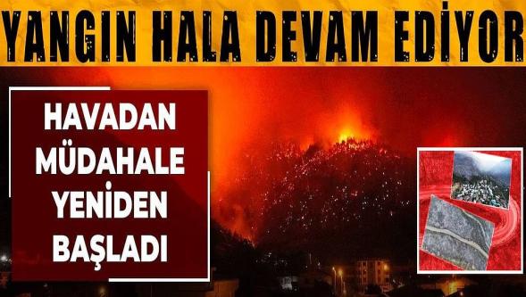 Ciğerlerimiz yanıyor! Bursa yangınından şehit haberi geldi..!