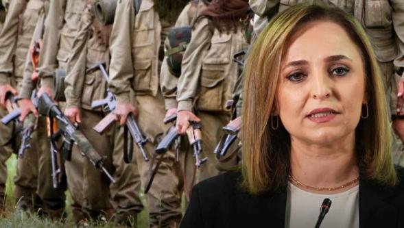 DEM Parti resmen açıkladı: "Tarihi bir eşikteyiz; PKK 11 Temmuz'da Süleymaniye'de silah bırakacak!"