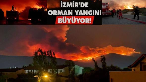 İzmir'de orman yangınları! Buca, Ödemiş, Çeşme'de alevlerle mücadele sürüyor...