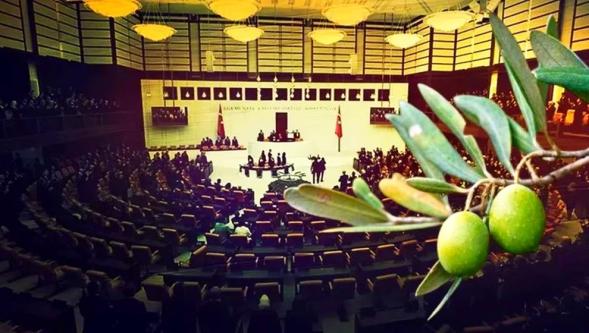 “Süper İzin Yasası” Zeytinlikleri madenciliğe açan kanun kabul edildi!