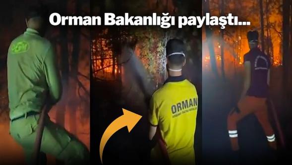 Tarım ve Orman Bakanlığı'nın paylaştığı bu görüntüler sosyal medyada gündem oldu! 