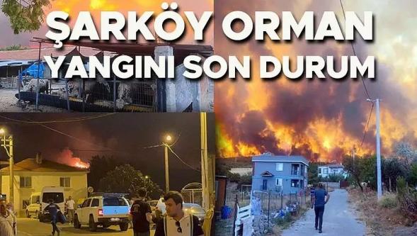 Tekirdağ Şarköy'deki orman yangını büyüdü! İki kentteki durum endişe verici...