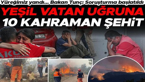 Yeşil vatan uğruna 10 kahraman şehit! 10 orman işçisinin kimlikleri belli oldu...