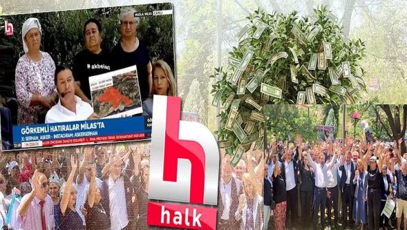 Zeytin bahane para şahane! Halk TV'nin ‘zeytin ağacı' duyarlılığı..!