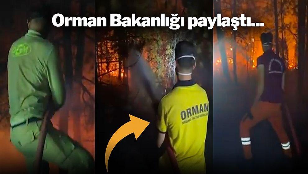 Tarım ve Orman Bakanlığı'nın paylaştığı bu görüntüler sosyal medyada gündem oldu!