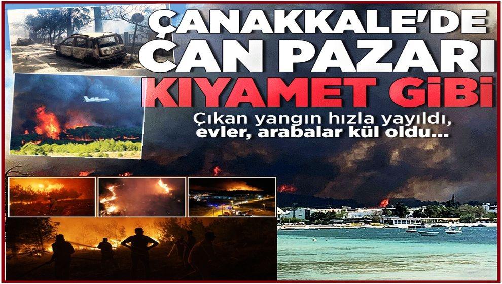 Ciğerlerimiz yanmaya devam ediyor... Çanakkale, Edirne, Hatay, Manisa'da orman yangını!