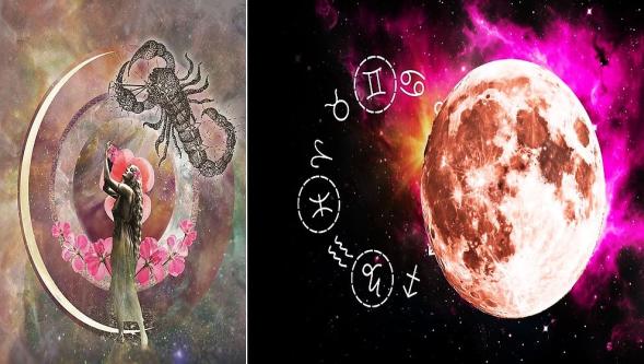 Akrep Yeniayı: "Dostluklar, İdeolojiler ve Finansal Sistemlerde Köklü Değişim..!"