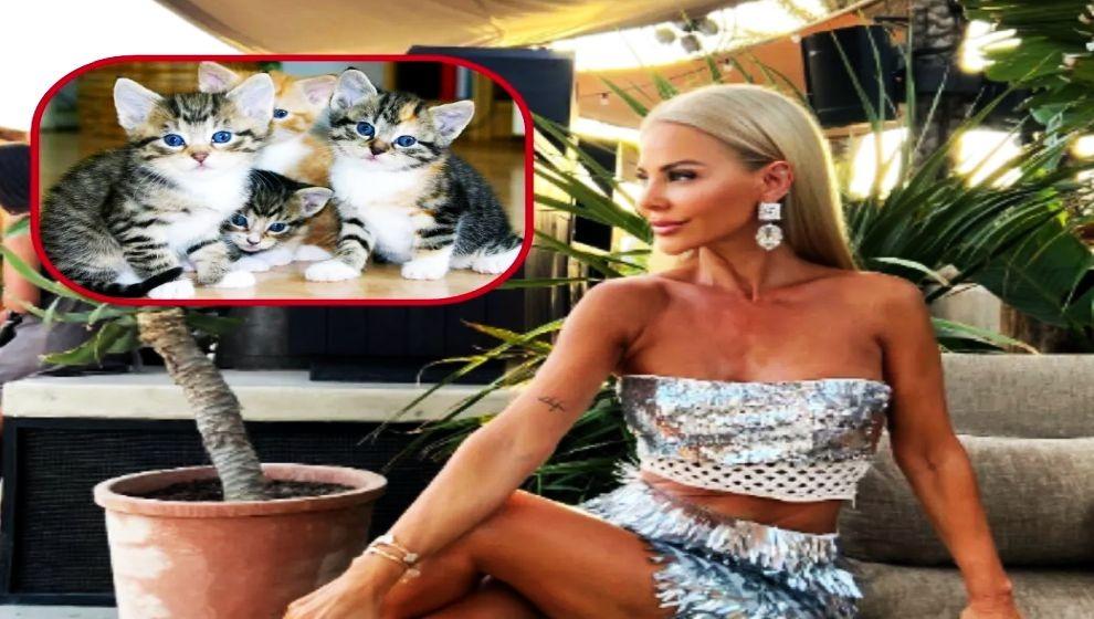 Sosyetik isim kedileri için savcılığa başvurdu: 