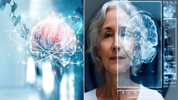 'Süper Yaşlanma' dönemi... Beyni 30 yıl genç tutan o özellik kanıtlandı!