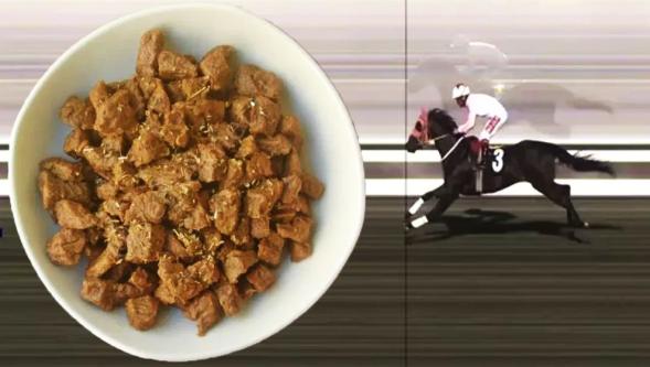 Türkiye bu olayı konuşuyor... Kavurma yapılan yarış atının sahibinden açıklama!