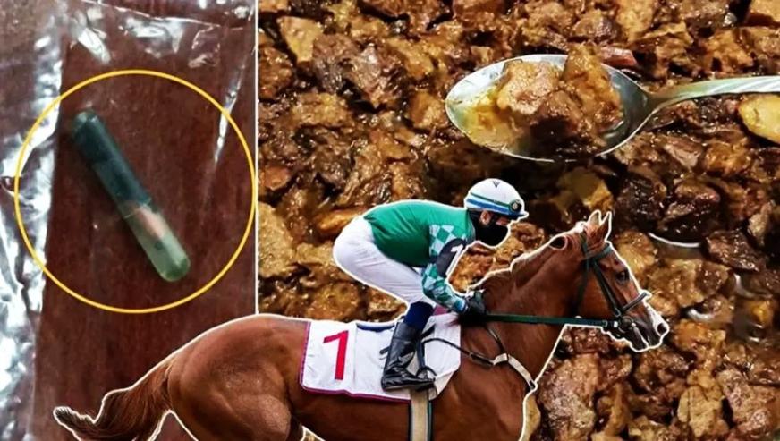 Hipodromdan mezbahaya... Çipi tabaktan çıktı, yarış atını kavurma yapmışlar!