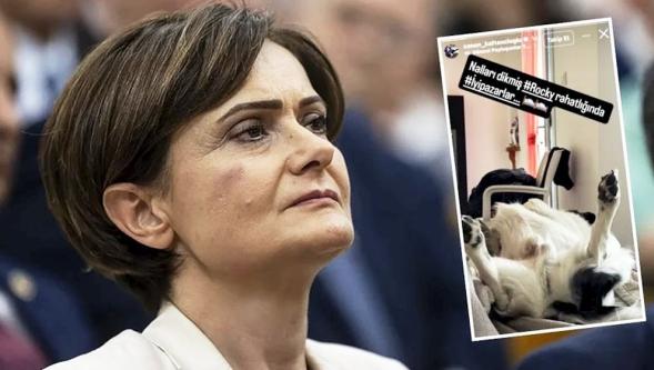 Köpek paylaşımı ortalığı karıştırdı! Canan Kaftancıoğlu’ndan iddialara yanıt...