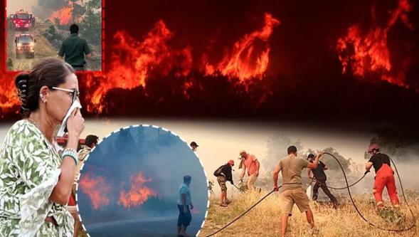 Alevlerle mücadele sürüyor! 202 yangın kontrol altına alındı... 10 il için kritik uyarı!