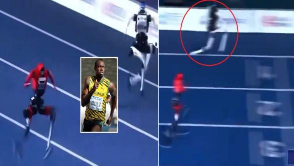 Çinli insansı robot "Lightning" 100 metreyi Usain Bolt'tan daha hızlı koştu..!
