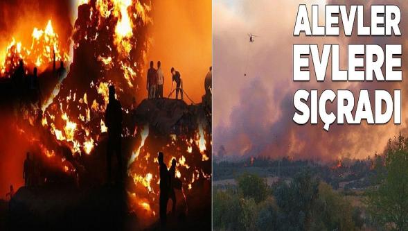 Türkiye'nin ciğerleri yanıyor! Antalya ve Adana'da mücadele sürüyor... 