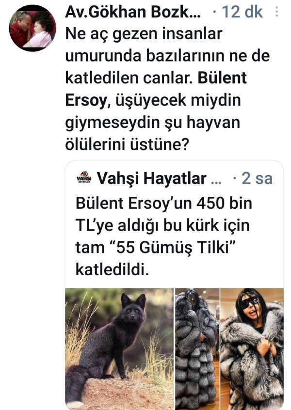 Bülent Ersoy'un Kürk Sevdasına Sosyal Medyadan Tepki Yağdı!